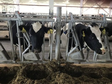 � 2030 ���� � ����������� ���� ��������� � ���� ��� ��������� ������������ ���� ����� � �������