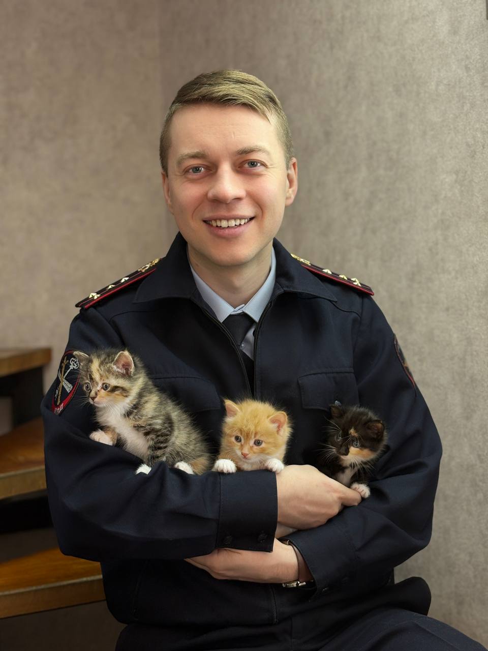 1 марта — День кошек в России!