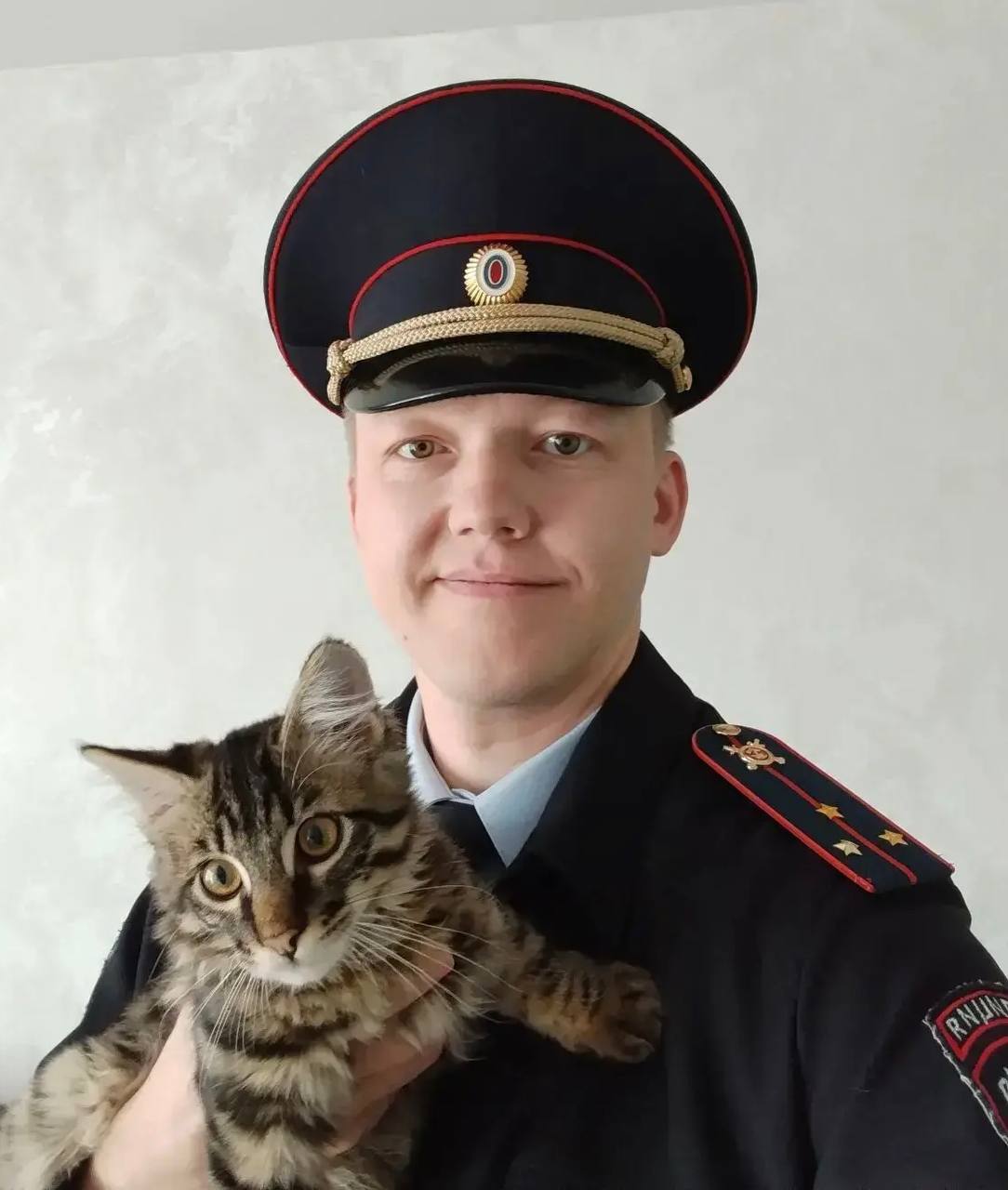 1 марта — День кошек в России! 1 марта — День кошек в России!