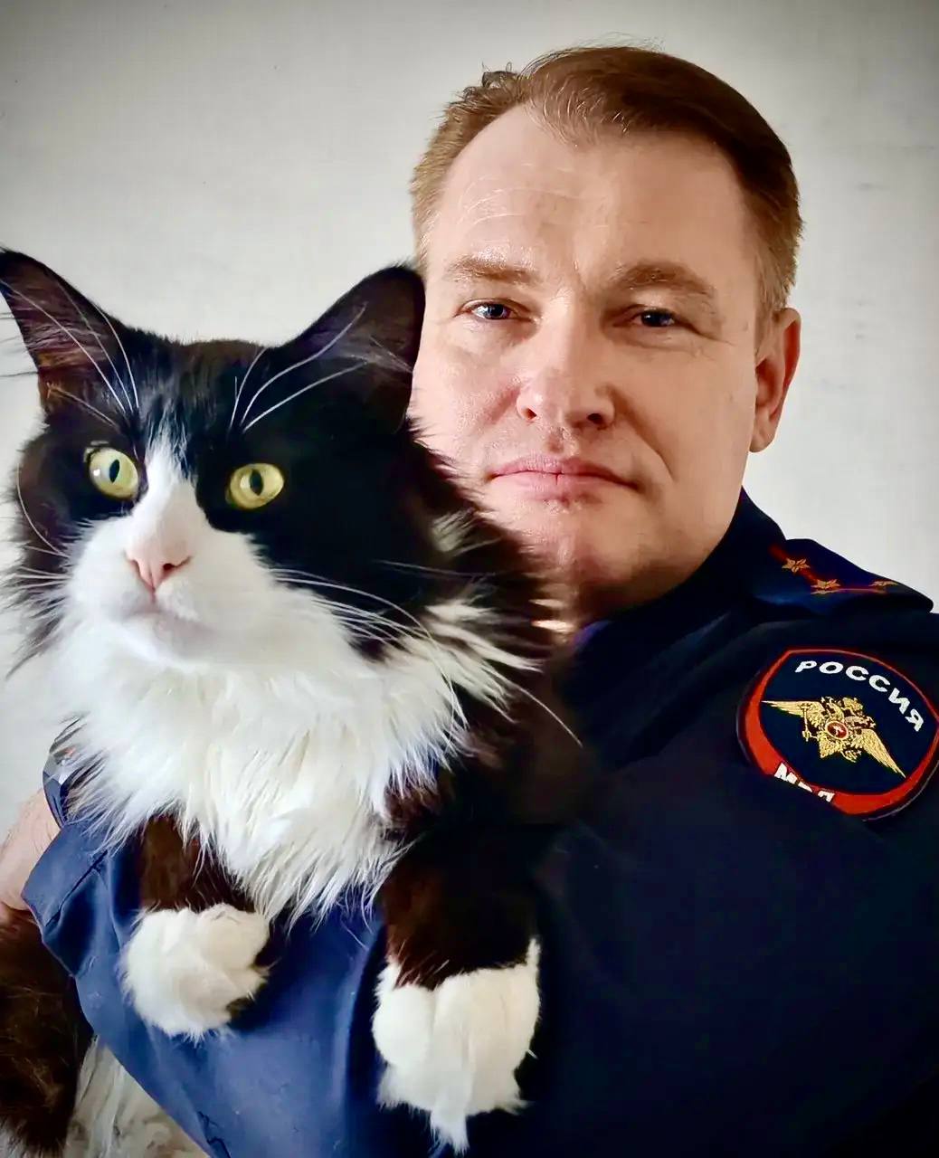 1 марта — День кошек в России! 1 марта — День кошек в России!