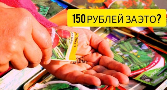 Когда упаковка важнее содержания: скрытая правда о семенах F1 в 2026 году