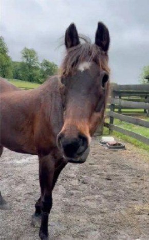 ������ �� ��� �������� ��������� ������� � ����