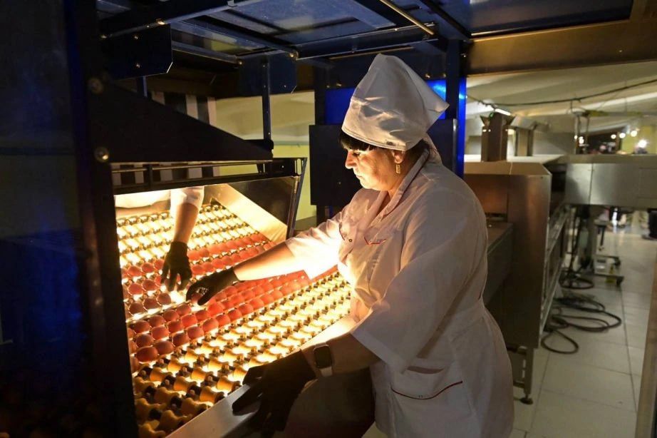 11 ������� ������� � �������� �������������� �������� �������� ������������ ������������ ����