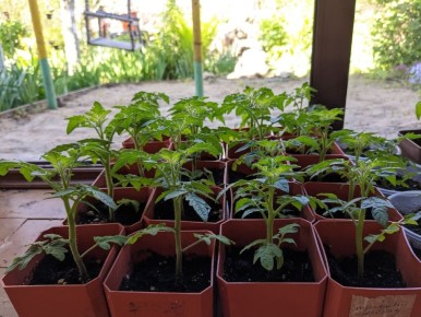 ������: ��� �������, ��� �������� � �� �����