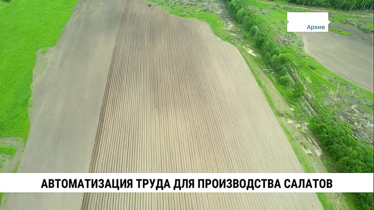 Хабаровский производитель салатов и маринованных овощей готов наращивать объёмы выпускаемой продукции