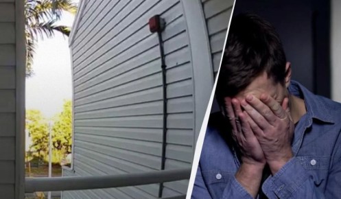 ����������� ������: ����� ����� �������� ������ ���� � �������