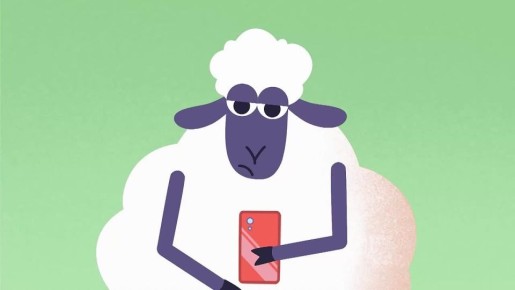 ��� ����� ������� � �������� ������ �����