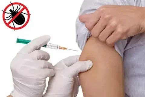 Вакцинация против клещевого энцефалита проходит в Хабаровском крае