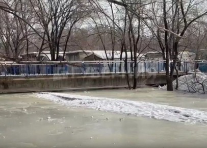 ���� � ��������������� �������� ���������� ����� �����