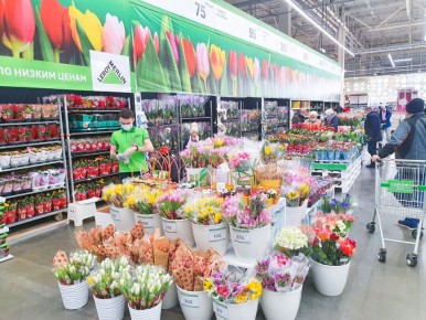 ������� �� 8 ����� � ����� ������: �����, �������� � ���� ��� ������