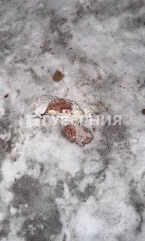 ���������, ���� ��� ���, �����: ���� � ������� ������������ ���������� �� ���������� � ������� ��� ��� ������