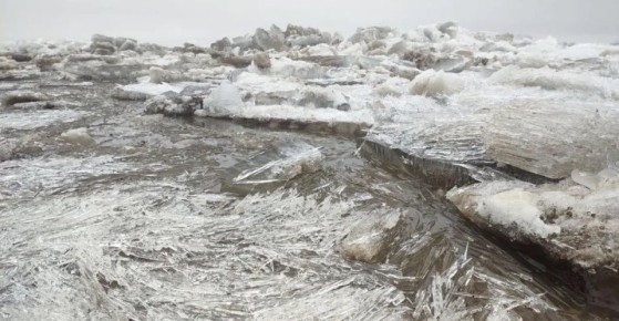 ��������� ������������ ���� ������ ����������� � ������� �� �� ���� ���