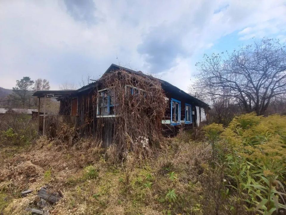 � ����������� ���� ��������� ������������� ����������� ������������� �������� ����� �����-�����