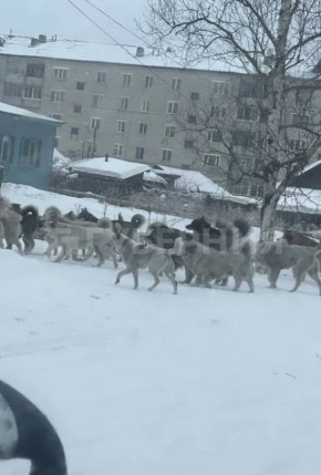 �� ����� ��������� ����� � ������������ ���������� ��������� ����