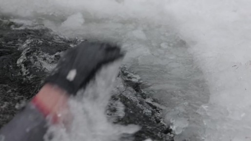 �������� �� � ��� �������!