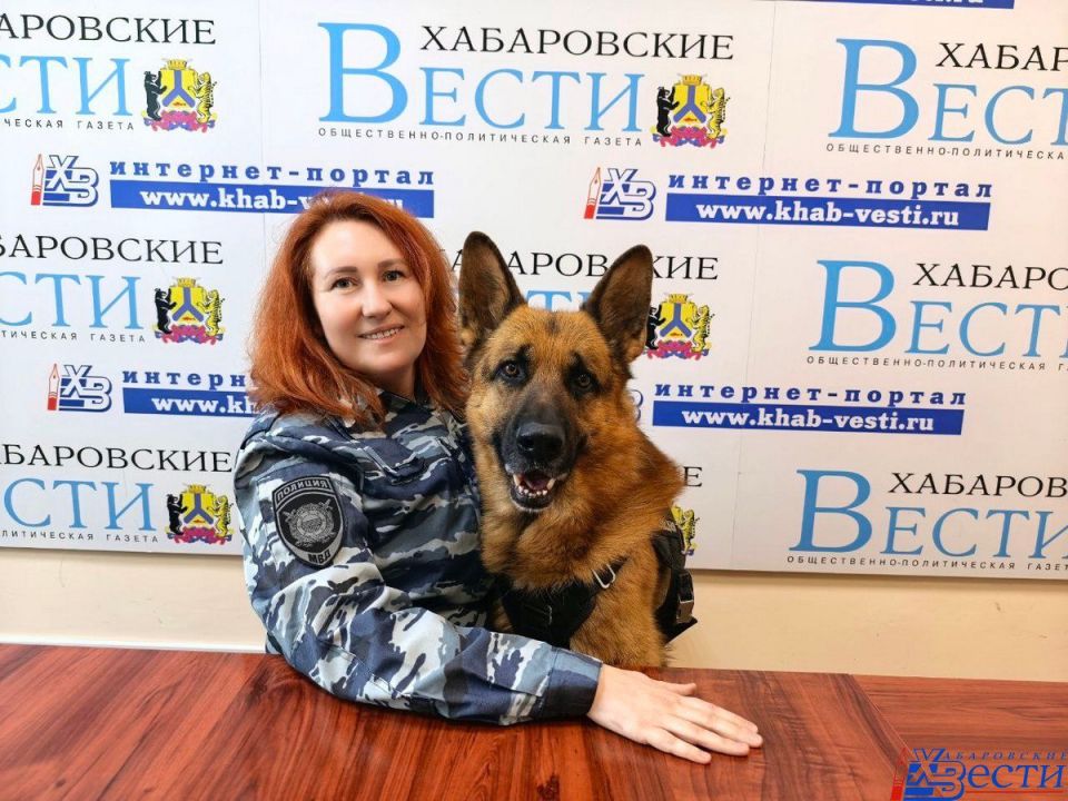 �������� �� ������ �������