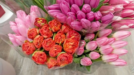 ��� ����� ��������� ����� �����������: ���� ������� �8 �����