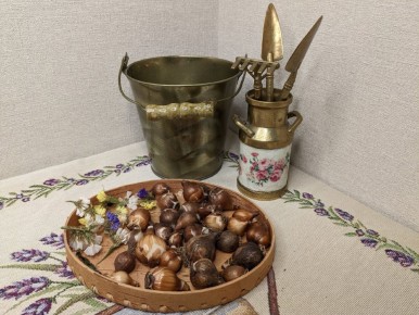 ���������� � �������� ������: ����� �������� ������� ���� ������������