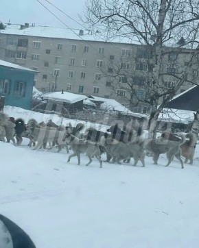 ���� �� 20 ����� �������� ������� � ����������� ���� � �������� �������� � �������� �� ����� � ��������