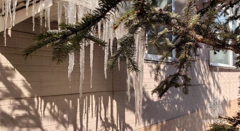 ��������� � ����: ��� ������ ���������� � �������� ��������� ��� ������ ������� �������!