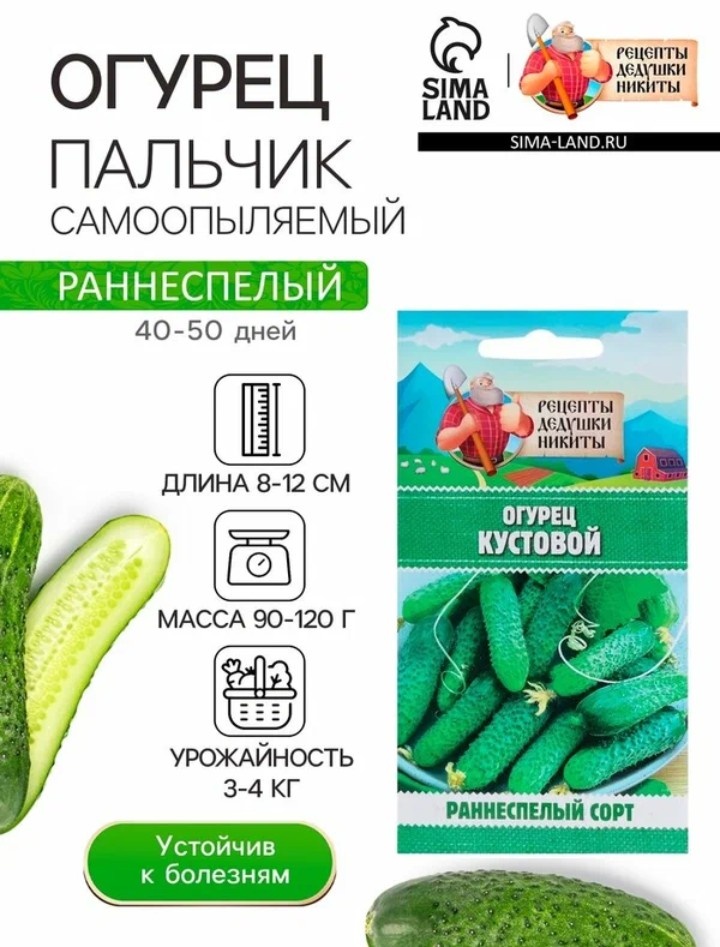 Как сорт «Огурец Пальчик» изменил подход к огородничеству