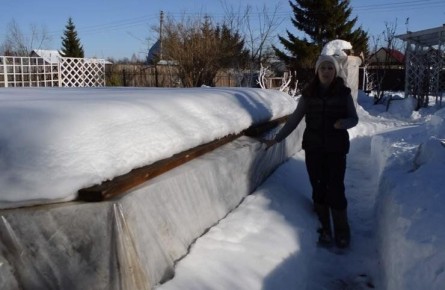 Как правильно ухаживать за розами после зимы: советы для садоводов