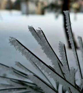 Погода в Хабаровском крае. Хабаровск