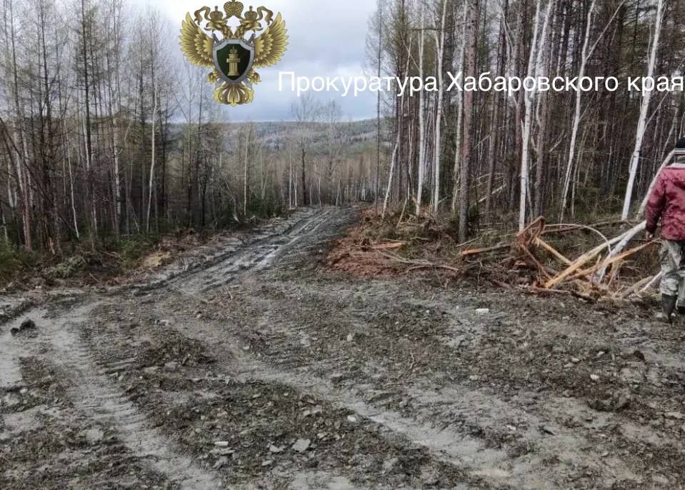 � ����������� ���� � ��� ���������� ��������� ���� � ���������� ����������� �� ������� ����������� ����� ������ ����������