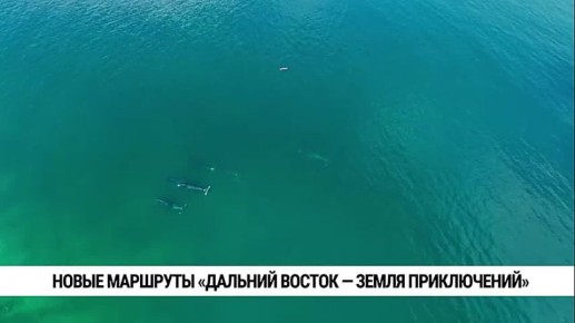 ��������� ���������� ������ � ����� �������� �� ����� ������� � ������ ����� �������� �������� ������ � ����� �����������