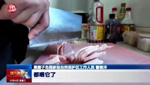 ������-���������� �������� ��������� ���������� � �������� ������������ �������