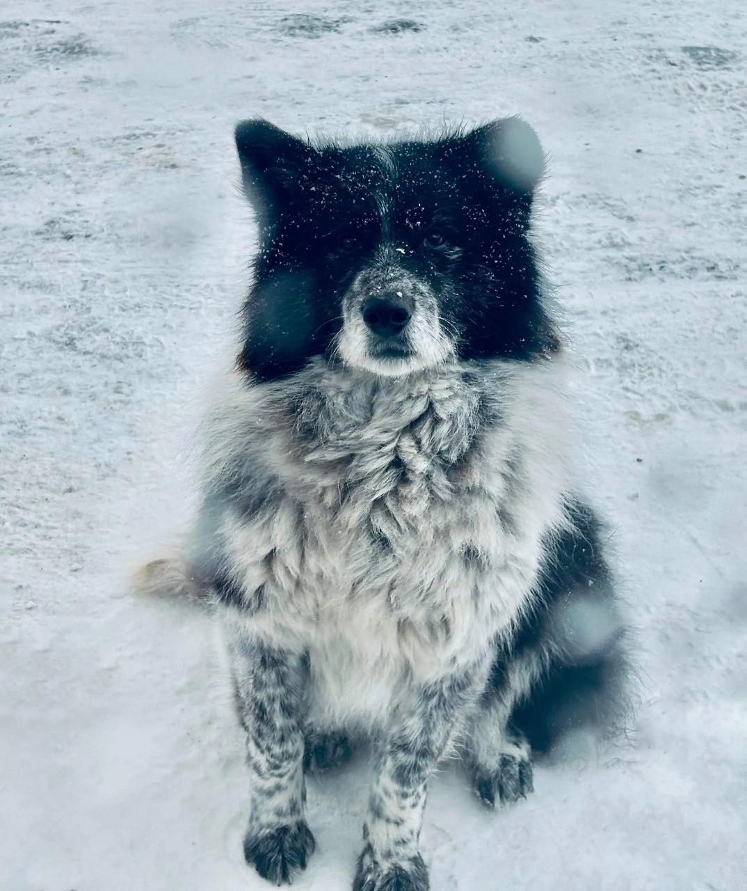 Погода в Хабаровском крае. Хабаровск