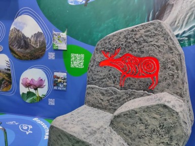 ����������� ���� ������� � ������ ���� ������� ���������������������