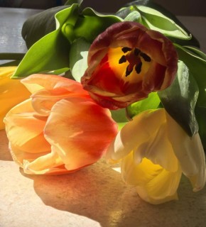 ������ � ����������� ����. ���������