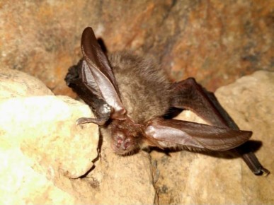 � ���������� ����������� ������� ���������� ����������� ������� ������� �����