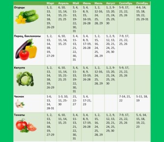 ������� ��������� ����������� �������� �����: �� ����� �� �������� ������