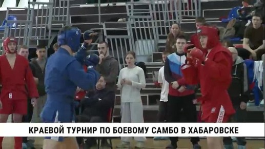 В Хабаровске прошёл краевой турнир по боевому самбо на призы спецподразделения «Альфа»