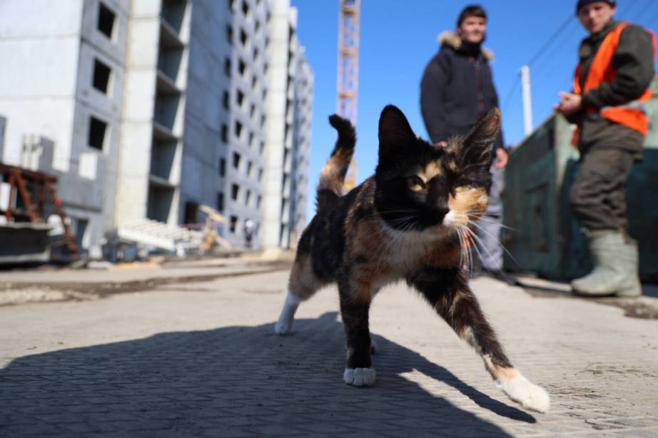 Дмитрий Демешин проинспектировал строительство дома для жителей аварийного фонда в Бикине Дмитрий Демешин проинспектировал строительство дома для жителей аварийного фонда в Бикине