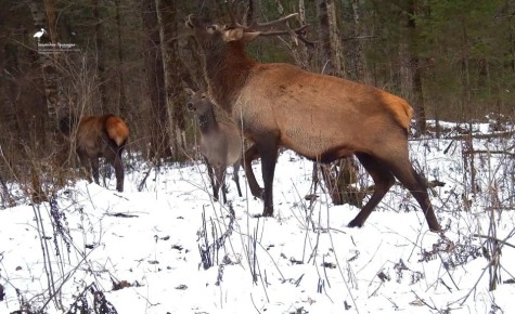 ����� ������, ������� � �����: ����� �������� ����������� ������� �����������