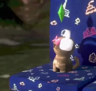 Я еду домой, даже не подозревая, что забыла ключи от квартиры на рабочем месте: