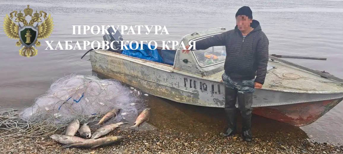 В Хабаровском крае перед судом предстанут местные жители за незаконный вылов кеты