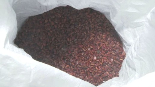 ����� ����� ��������� ����� ������ �������� ������������ ����