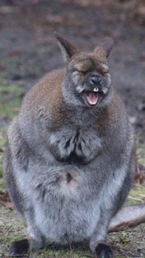 ������ ����������? ��� �� ��� ����� �� ����� � ������ ������?