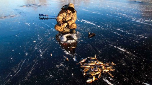 ����������� ������ �� ������� � ��������� ��������� ������� �� �����