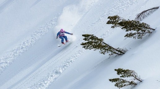 �� ����� ���� ������ �������� ������������ ������������ ���� �� ��������