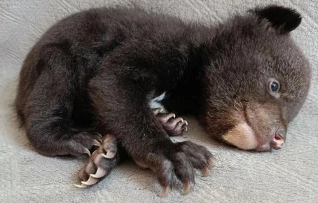 ���� ����������, ���������� � ��������� ������, ������� ��������� � ������� �������� ���� ����������