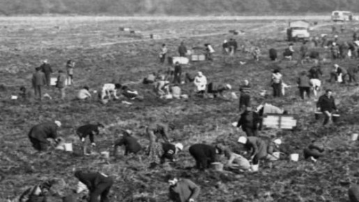 ������������ � �������: ���������� �� ����, ����� ����� ���� ����