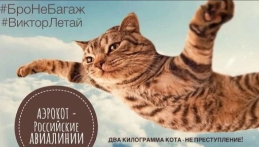 ��� ��������� ���� �������� ������ ���������� ������: �� ��������� � ����� ����������