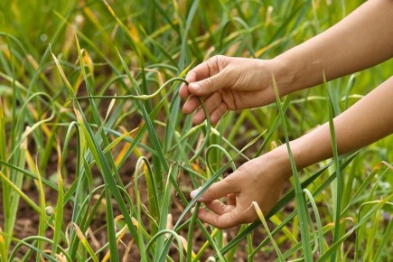 ����� � ��� ��������� �������� ��������� �������