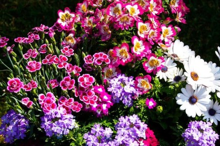 ��� ������� ������������� ������: ������ ��� ���������� ��������