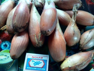 Как правильно нарезать шалот перед посадкой: советы и рекомендации